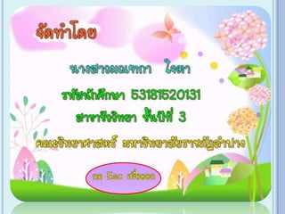 เกม Xo การแบ่งเซลล์ ไมโทซีส