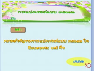 เกม Xo การแบ่งเซลล์ ไมโทซีส
