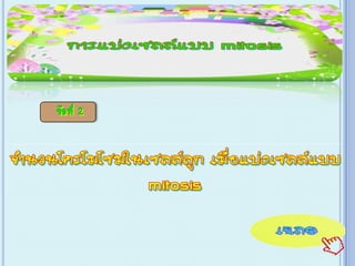 เกม Xo การแบ่งเซลล์ ไมโทซีส