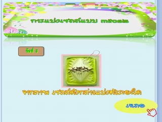 เกม Xo การแบ่งเซลล์ ไมโทซีส