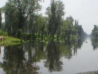 Xochimilco