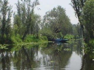 Xochimilco