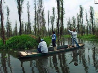 Xochimilco
