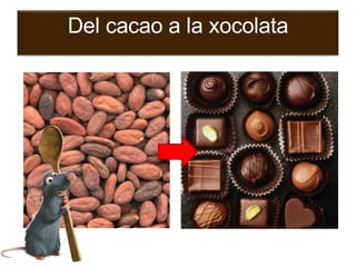 Del cacao a la xocolata 