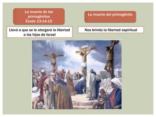 La muerte de los
                                           La muerte del primogénito
           primogénitos
         Éxodo 13:14-15

Llevó a que se le otorgará la libertad   Nos brinda la libertad espiritual
         a los hijos de Israel
 