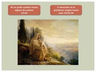 No se podía quebrar hueso      A Jesucristo no le
    alguno de cordero       quebraron ningún hueso
          12:46                 Juan 19:31-36
 
