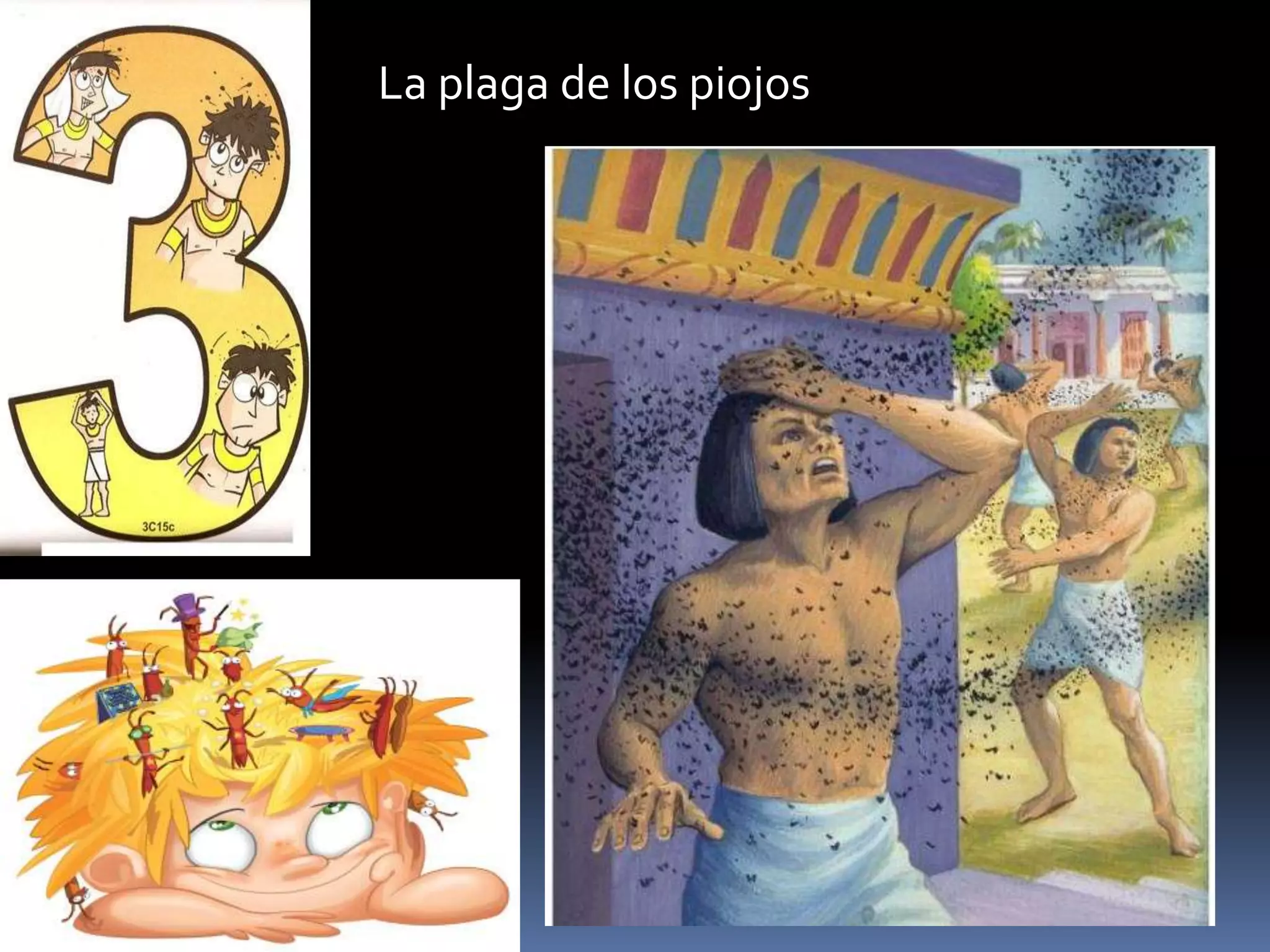La plaga de los piojos