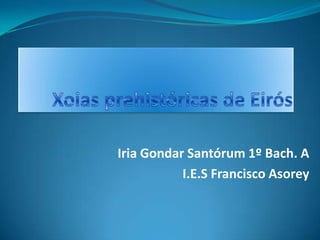 Iria Gondar Santórum 1º Bach. A
           I.E.S Francisco Asorey
 