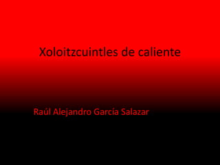 Xoloitzcuintles de caliente
Raúl Alejandro García Salazar
 