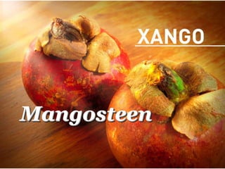 Mangosteen 