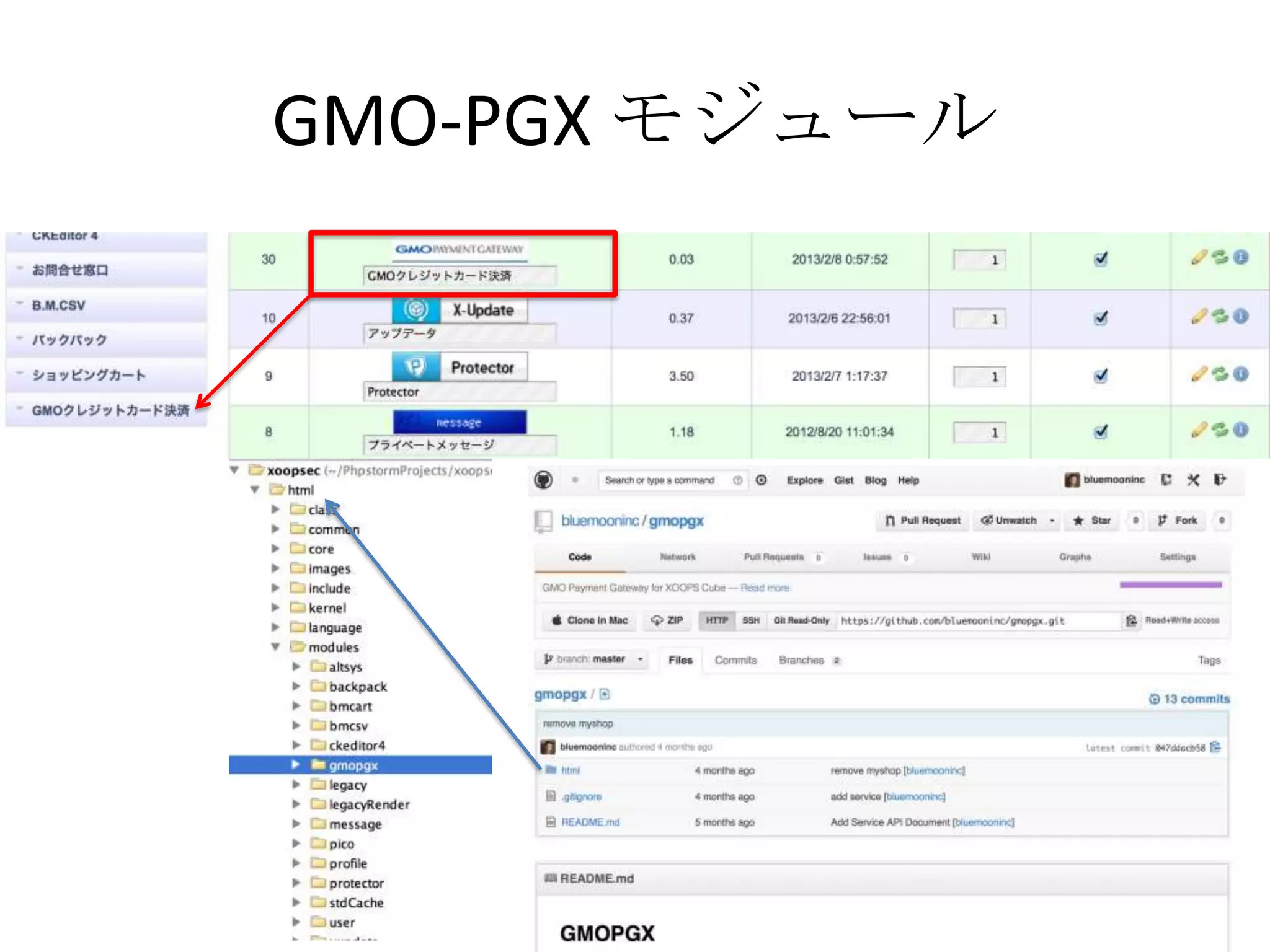 GMO-PGX モジュール
 