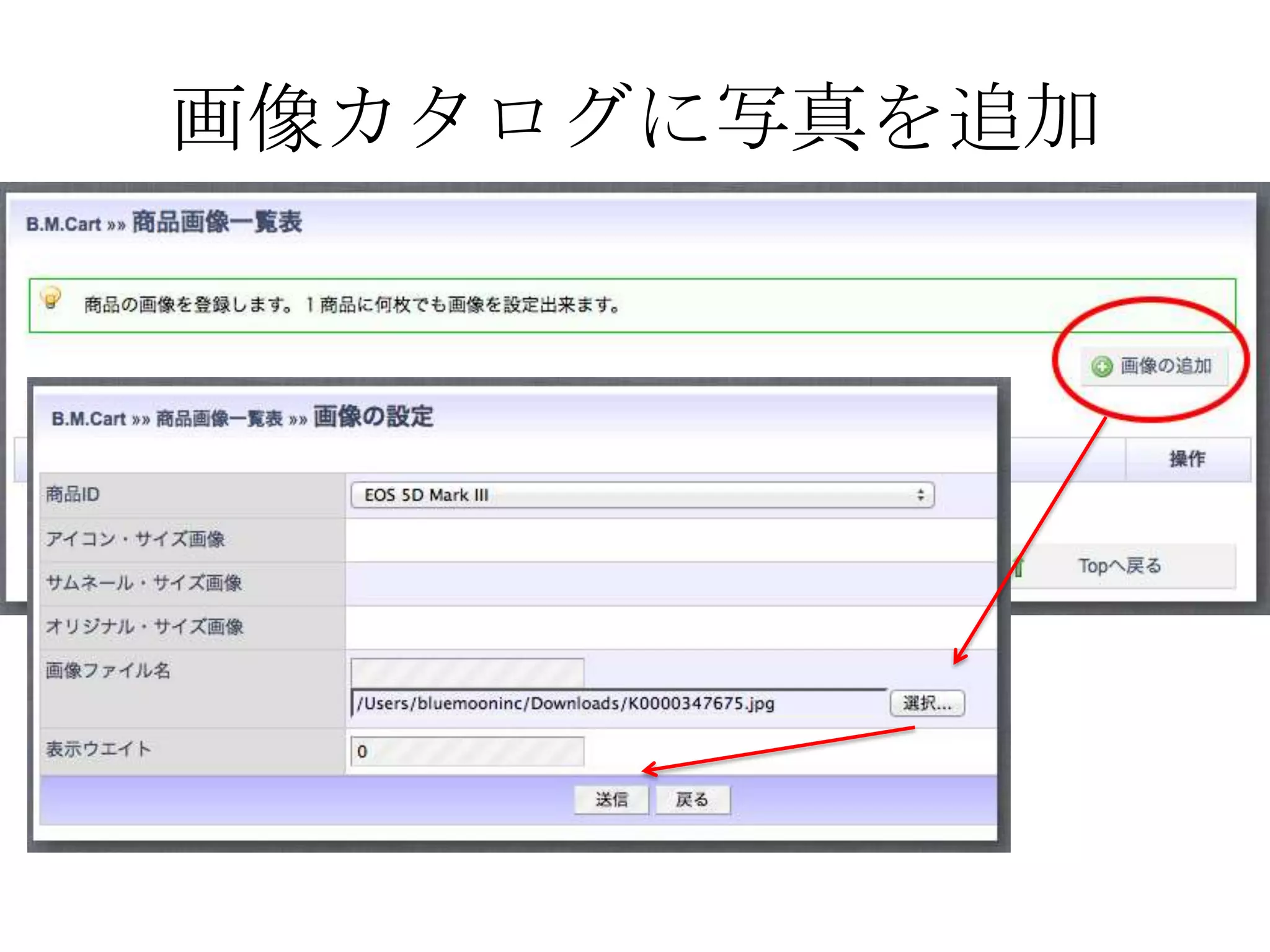 画像カタログに写真を追加
 