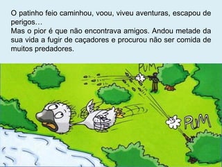 O patinho feio caminhou, voou, viveu aventuras, escapou de perigos… Mas o pior é que não encontrava amigos. Andou metade da sua vida a fugir de caçadores e procurou não ser comida de muitos predadores. 