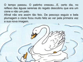O tempo passou. O patinho cresceu…E, certo dia, no reflexo das águas serenas do regato descobriu que era um cisne e não um pato. Afinal não era assim tão feio. De pescoço esguio e bela plumagem o cisne ficou muito feliz ao ver pela primeira vez a sua nova imagem. 
