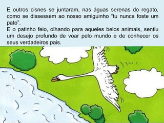E outros cisnes se juntaram, nas águas serenas do regato, como se dissessem ao nosso amiguinho “tu nunca foste um pato”. E o patinho feio, olhando para aqueles belos animais, sentiu um desejo profundo de voar pelo mundo e de conhecer os seus verdadeiros pais. 