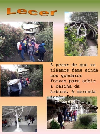 A pesar de que xa
tiñamos fame aínda
nos quedaron
forzas para subir
á casiña da
árbore. A merenda
tamén foi
especial, nunha
cabana a carón dun
lago.
 