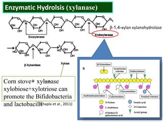 Enzymatic Hydrolsis (xylanase)
β-1,4-xylan xylanohydrolase
Corn stove+ xylanase
xylobiose+xylotriose can
promote the Bifidobacteria
and lactobacilli
(Chapla et al., 2011)
 