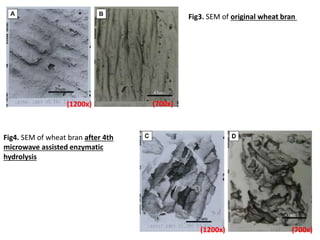 Fig3. SEM of original wheat bran
Fig4. SEM of wheat bran after 4th
microwave assisted enzymatic
hydrolysis
(1200x) (700x)
(1200x) (700x)
 