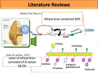 Literature Reviews
(Benamrouche S et al., 2002)
(Shang-Tian Yang et al., 2013)
Wheat bran contained 40%
Wheat bran with
heteroxylan component
40%
(John M. deMan., 2013)
xylan of wheat bran
consisted of D-xylose
38.5%
 