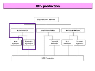 XOS production
Acid
hydrolysis
Enzymatic
hydrolysis
Enzymatic
hydrolysis
Acid
hydrolysis
Enzymatic
hydrolysis
 