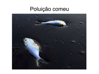 Poluição comeu
 