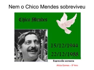 Nem o Chico Mendes sobreviveu




                  Alícia Gomes – 9º Ano
 