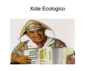 Xote Ecologico
 
