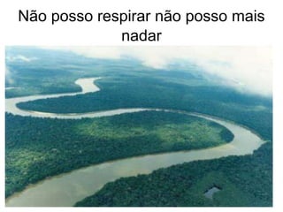 Não posso respirar não posso mais
             nadar
 