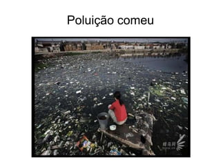 Poluição comeu
 