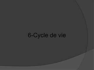 6-Cycle de vie

 
