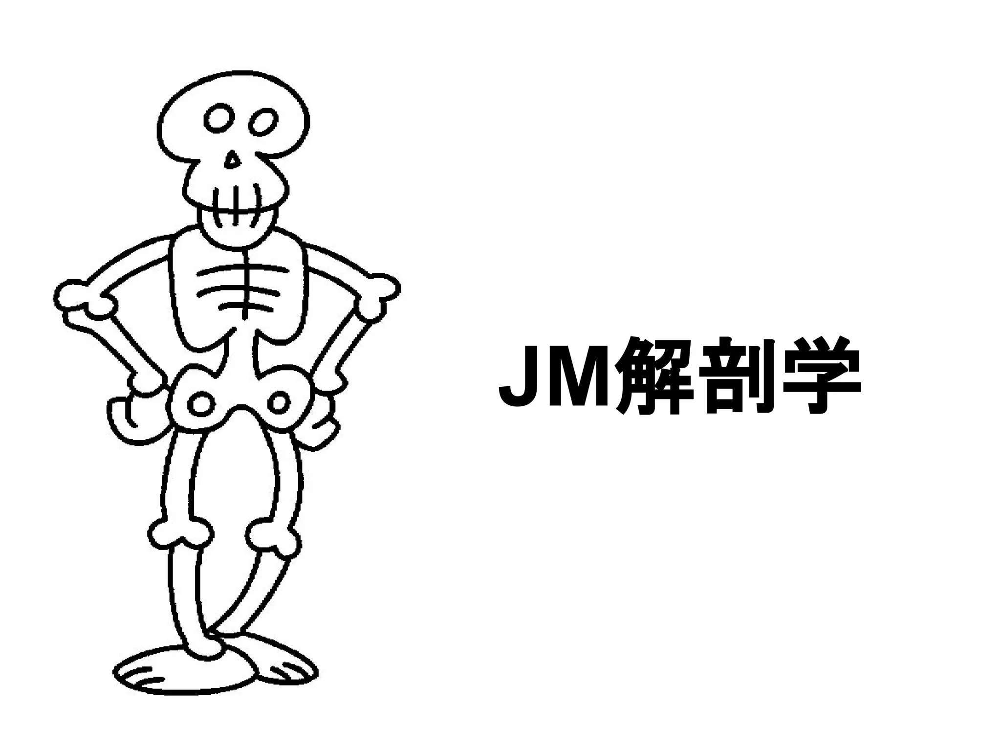 JM解剖学
 