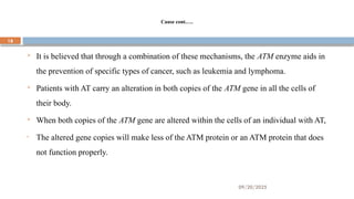 09/20/2025
18
Cause cont.….
 It is believed that through a combination of these mechanisms, the ATM enzyme aids in
the prevention of specific types of cancer, such as leukemia and lymphoma.
 Patients with AT carry an alteration in both copies of the ATM gene in all the cells of
their body.
 When both copies of the ATM gene are altered within the cells of an individual with AT,
• The altered gene copies will make less of the ATM protein or an ATM protein that does
not function properly.
 