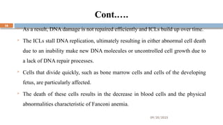 09/20/2025
28
Cont.….
 As a result, DNA damage is not repaired efficiently and ICLs build up over time.
 The ICLs stall DNA replication, ultimately resulting in either abnormal cell death
due to an inability make new DNA molecules or uncontrolled cell growth due to
a lack of DNA repair processes.
 Cells that divide quickly, such as bone marrow cells and cells of the developing
fetus, are particularly affected.
 The death of these cells results in the decrease in blood cells and the physical
abnormalities characteristic of Fanconi anemia.
 