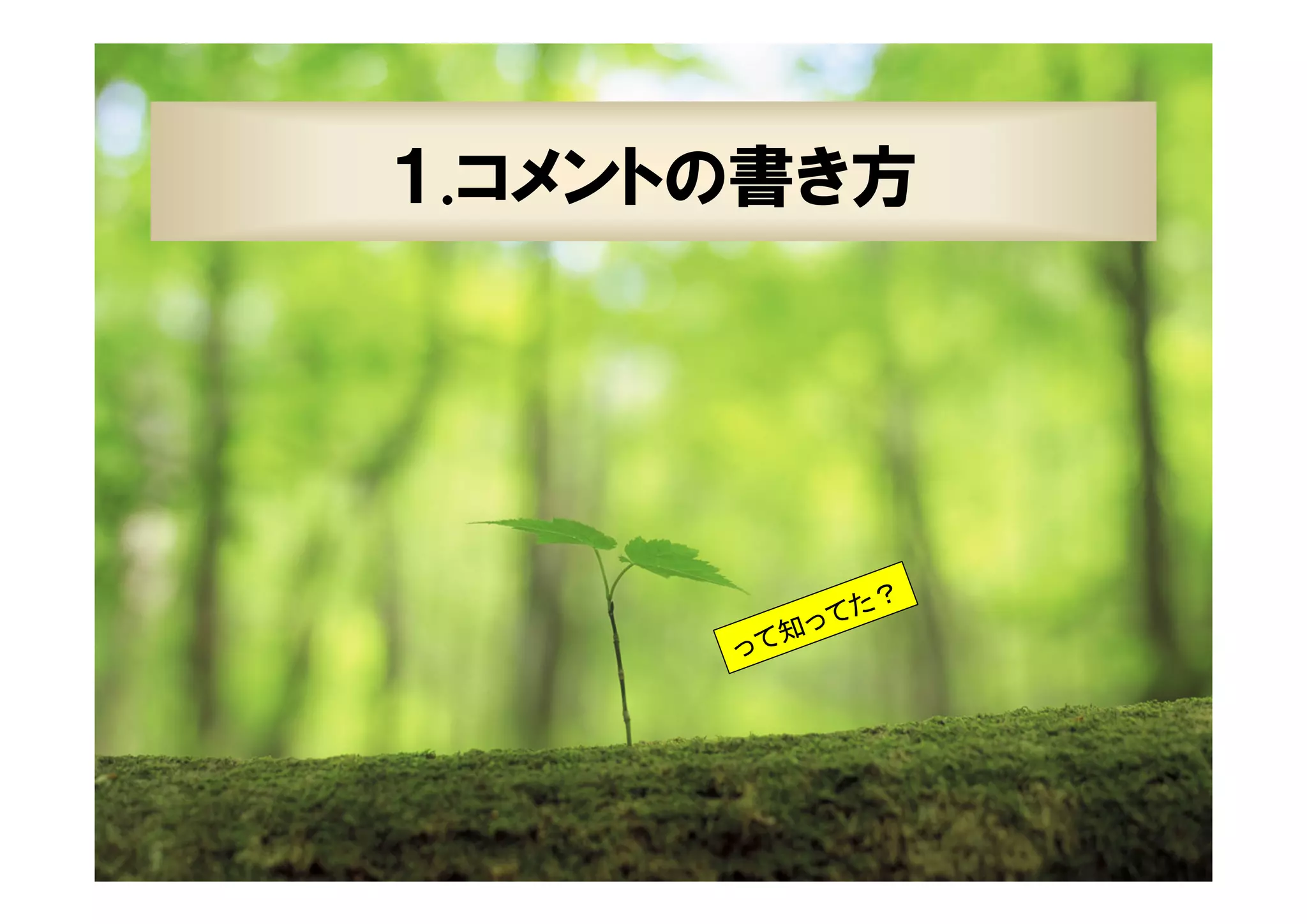 18

１.コメントの書き方

？
てた
っ
て知
っ

XPJUG関西 / XP寺子屋

 