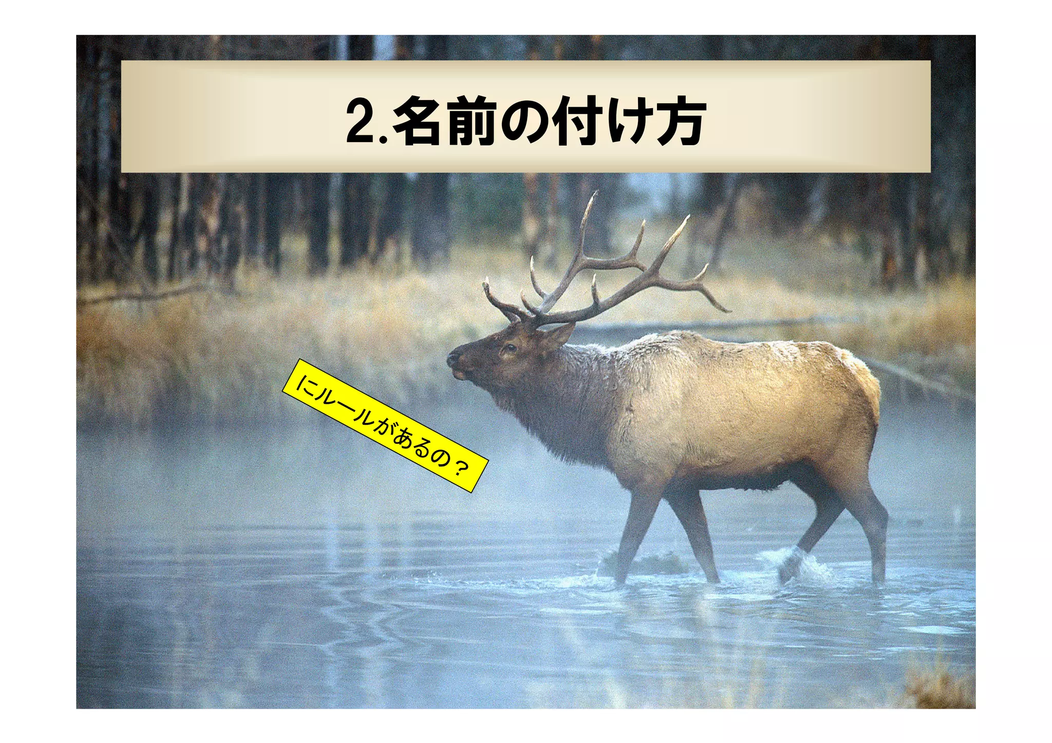 23

2.名前の付け方

にル
ール
があ
るの
？

XPJUG関西 / XP寺子屋

 