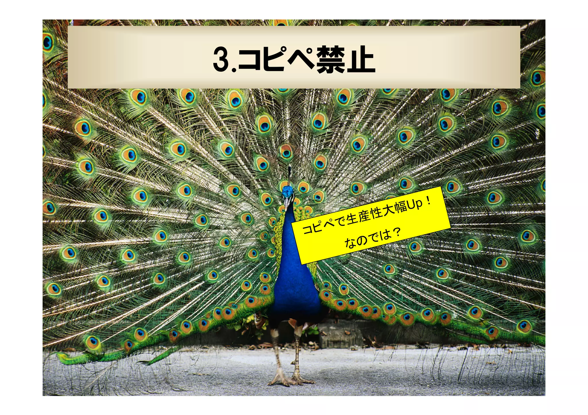30

3.コピペ禁止

！
幅Up
大
生産性
で
コピペ
？
のでは
な

XPJUG関西 / XP寺子屋

 