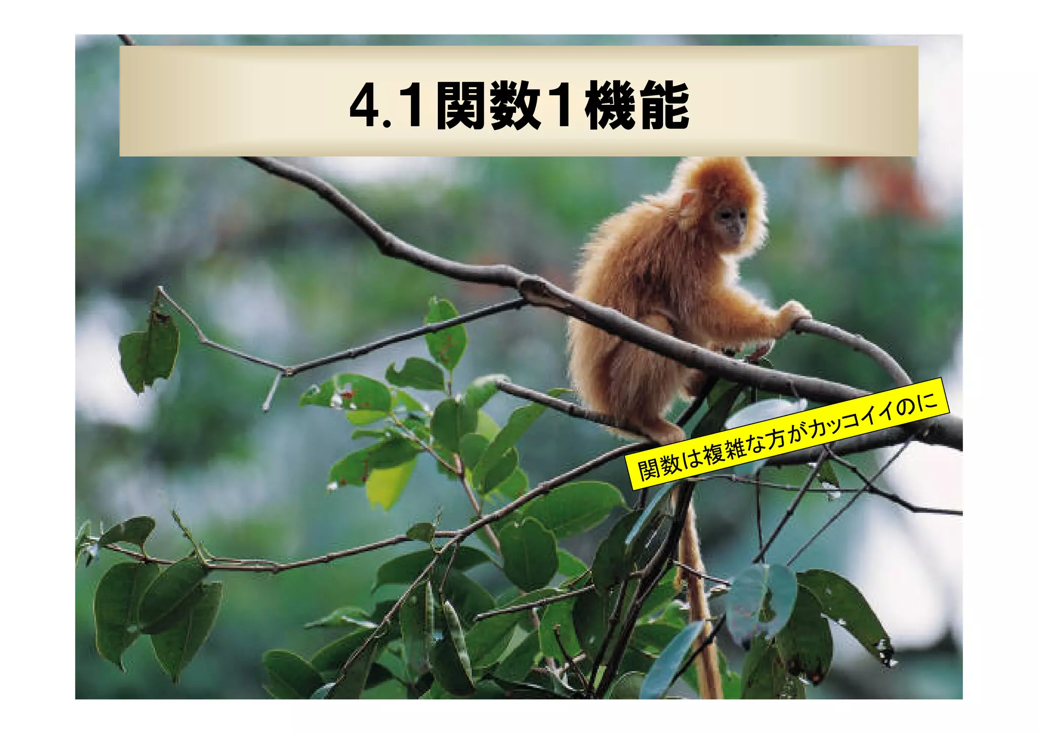 35

4.１関数１機能

に
イイの
コ
がカッ
方
複雑な
関数は

XPJUG関西 / XP寺子屋

 