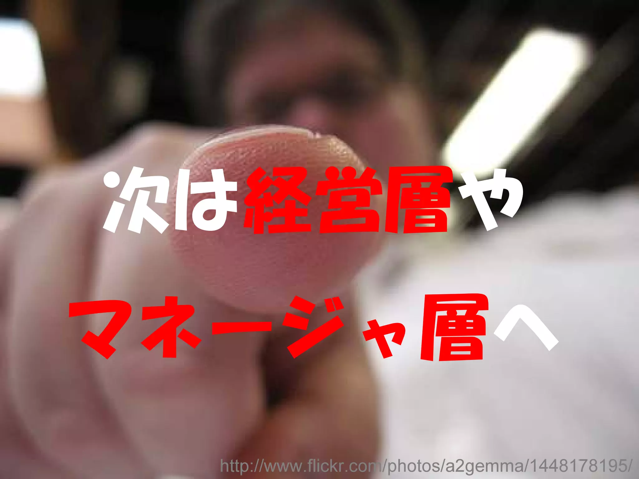 次は経営層や
マネージャ層へ
  http://www.flickr.com/photos/a2gemma/1448178195/
 