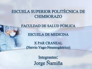 ESCUELA SUPERIOR POLITÉCNICA DE CHIMBORAZOFACULDAD DE SALUD PÚBLICAESCUELA DE MEDICINAX PAR CRANEAL (Nervio Vago-Neumogástrico)Integrantes:Jorge Ñamiña 