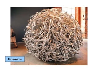 Реальность
 