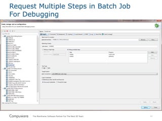 12
Request Multiple Steps in Batch Job
For Debugging
 