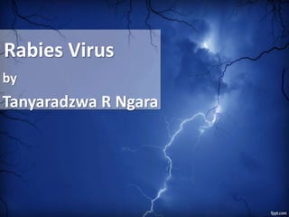 Rabies Virus
by
Tanyaradzwa R Ngara
 