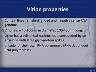 Virion properties
× Contain linear, single stranded and negative sense RNA
genome.
× Virions are 45-100nm in diameter, 100...