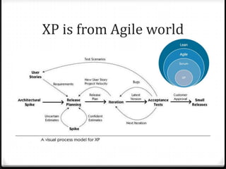 Extreme Programming?
