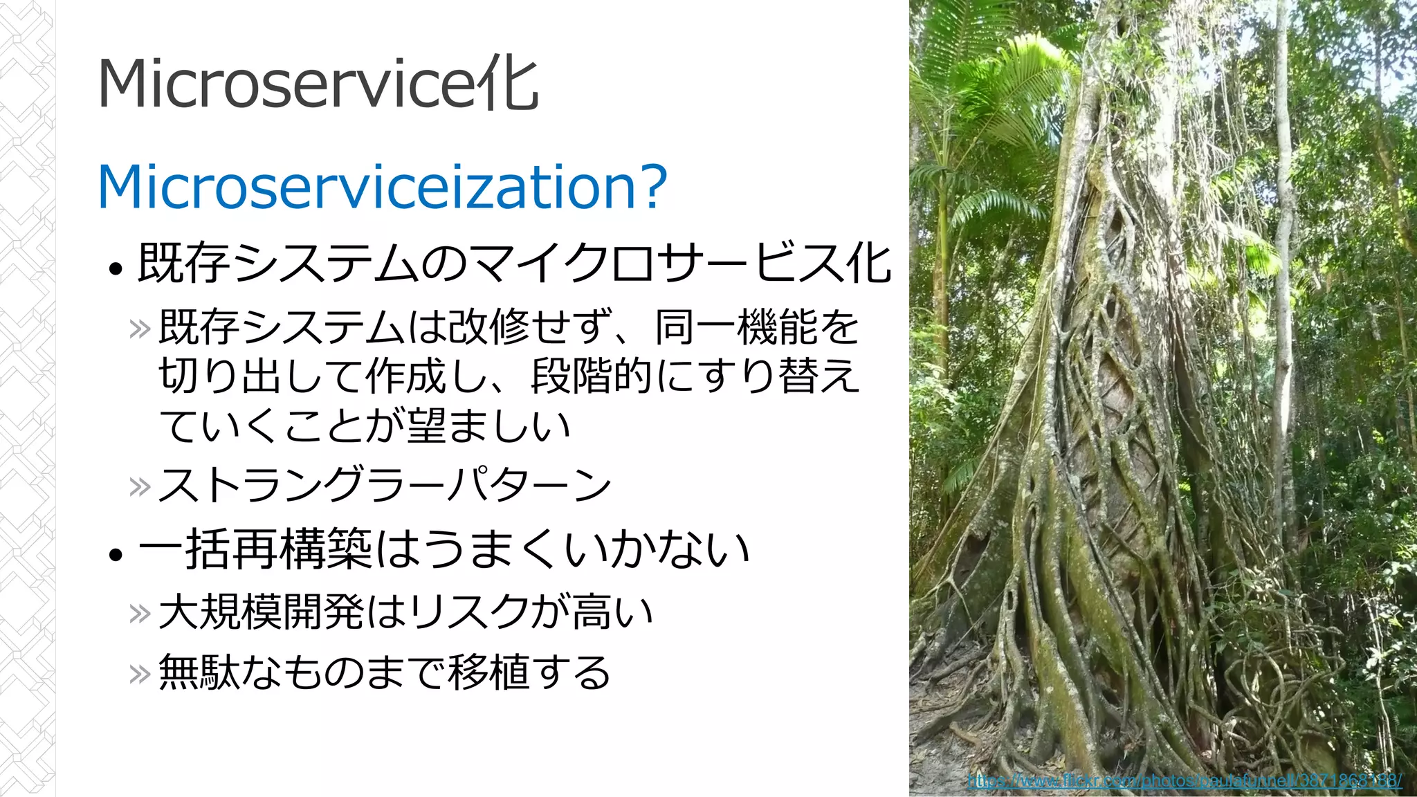 Microservice化
Microserviceization?
• 既存システムのマイクロサービス化
»既存システムは改修せず、同⼀機能を
切り出して作成し、段階的にすり替え
ていくことが望ましい
»ストラングラーパターン
• ⼀括再構築はうまくいかない
»⼤規模開発はリスクが⾼い
»無駄なものまで移植する
42
https://www.flickr.com/photos/paulafunnell/3871868188/
 