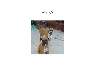 Pets? - 