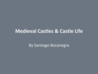 Medieval Castles & Castle Life By Santiago Bocanegra 
