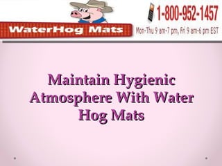 Maintain Hygienic Atmosphere With Water Hog Mats 