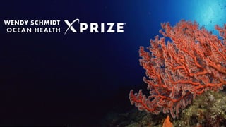 XPRIZE Think Tank Shanghai Introduction