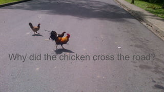 Why did the chicken cross the road?
 